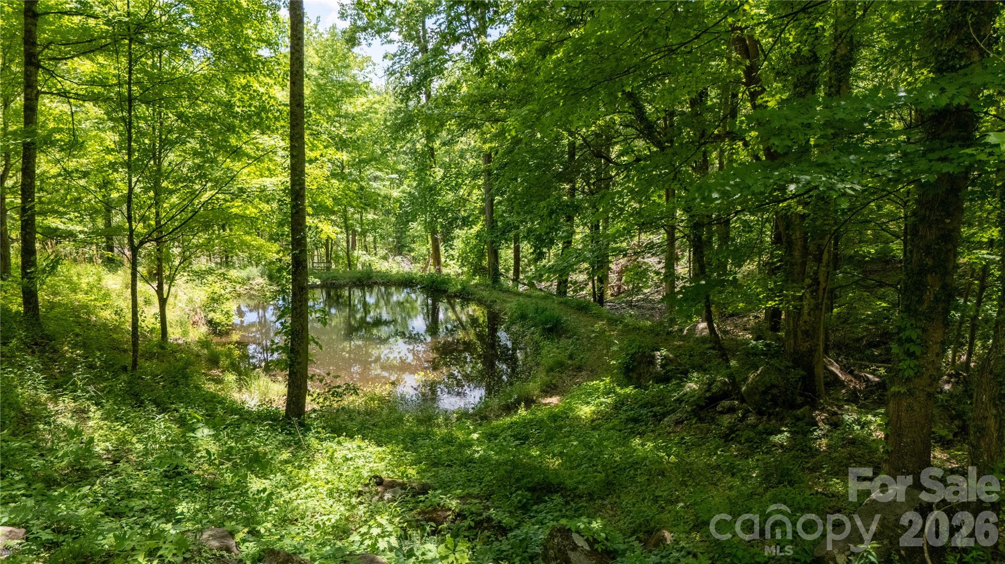 8 Westward Way Bakersville NC 28705