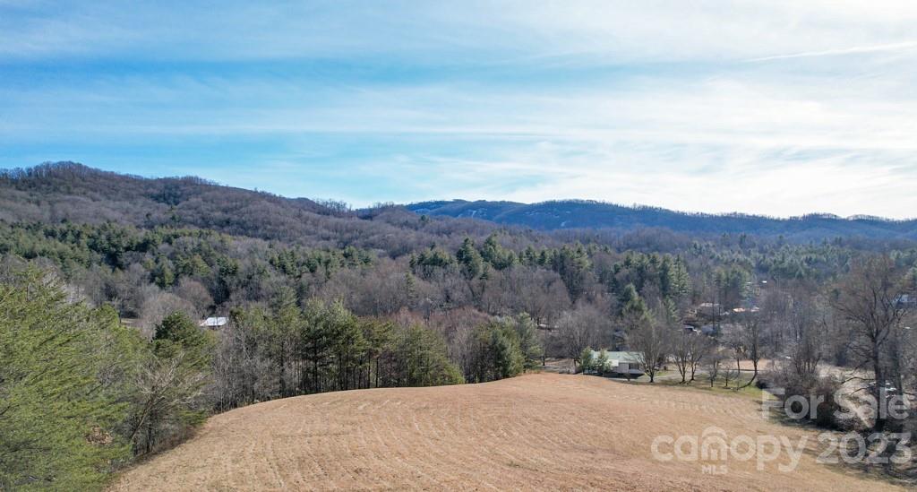 66 Fox Branch Road Fairview NC 28730