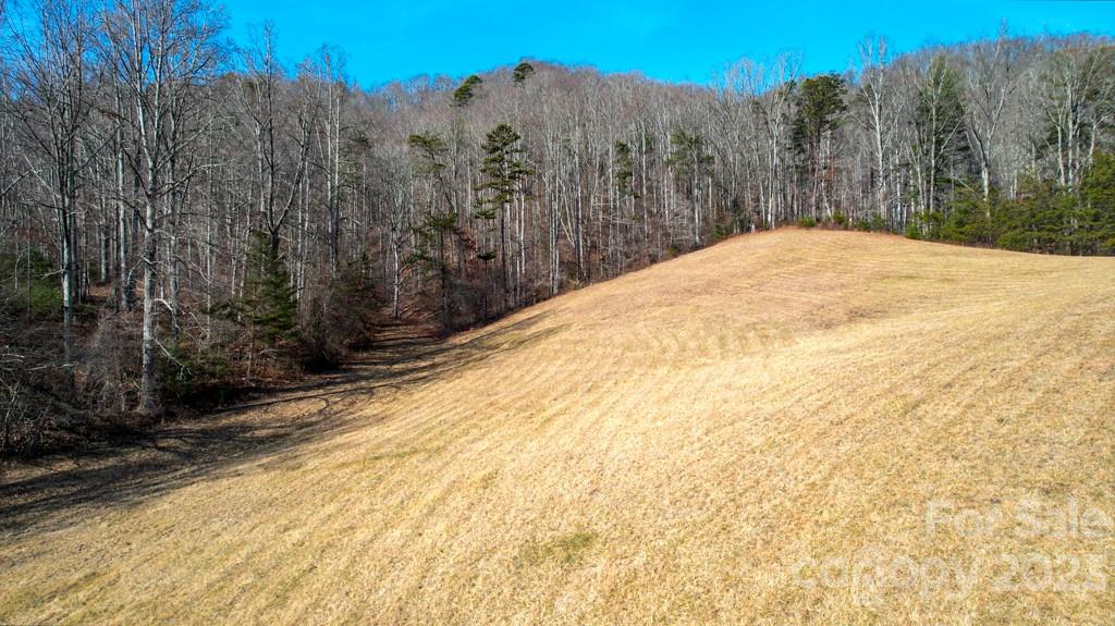 66 Fox Branch Road Fairview NC 28730