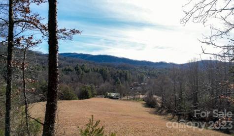 66 Fox Branch Road Fairview NC 28730