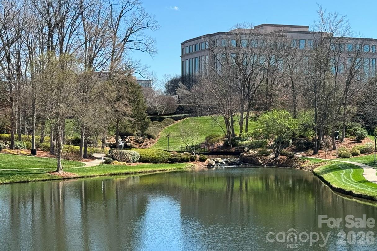14608 Caragana Court Charlotte NC 28277