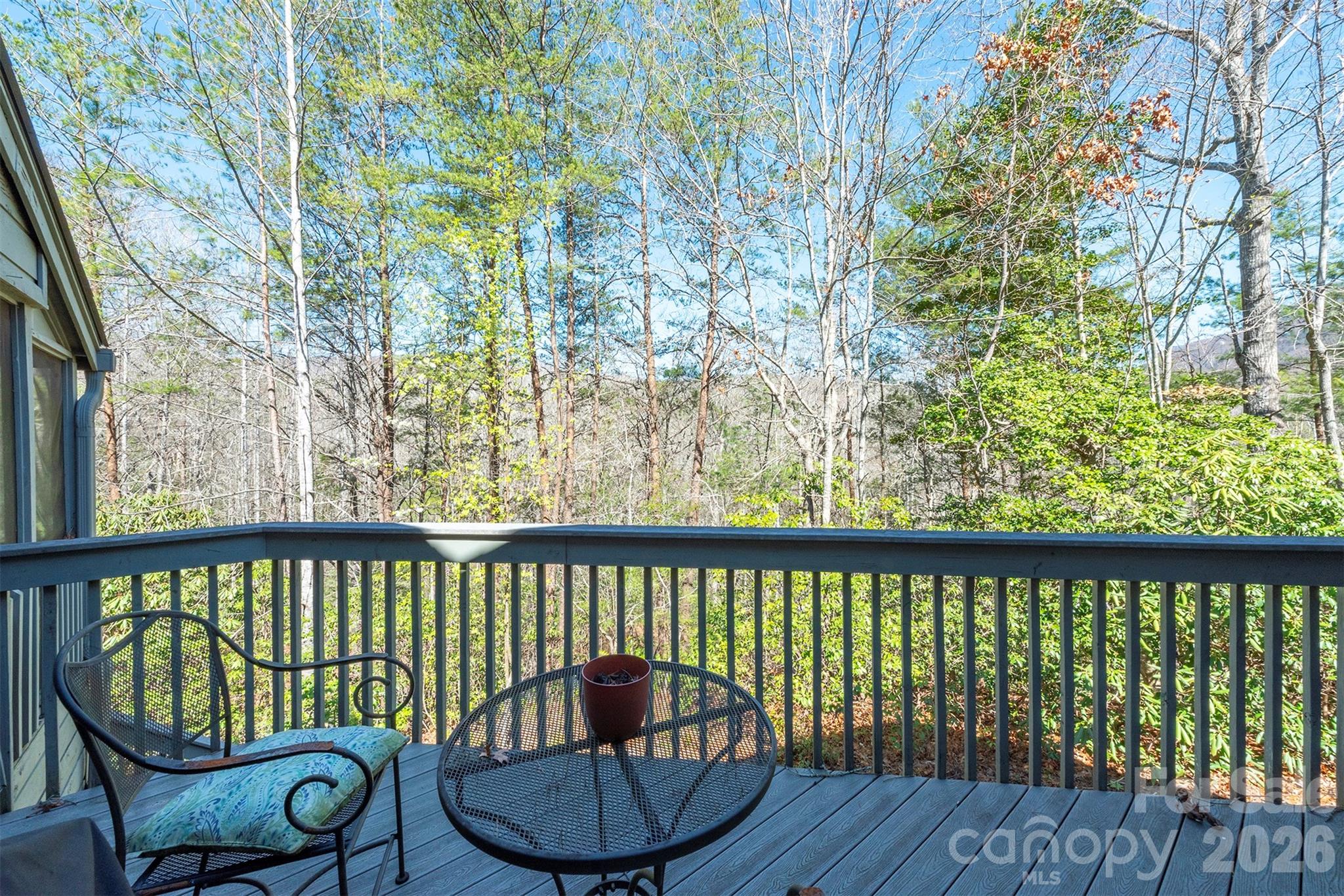 128 Quail Run Court Lake Lure NC 28746