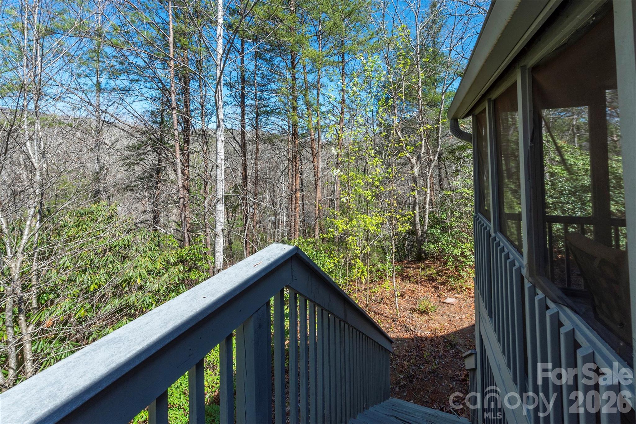 128 Quail Run Court Lake Lure NC 28746