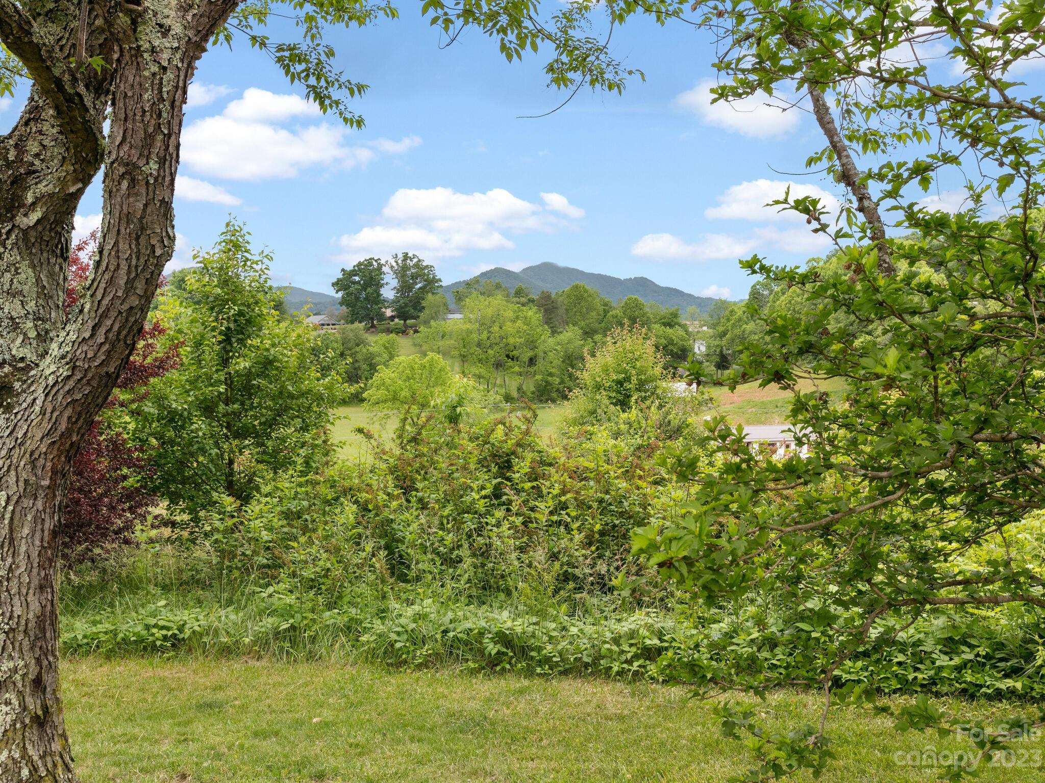 15 Esek Drive Leicester NC 28748