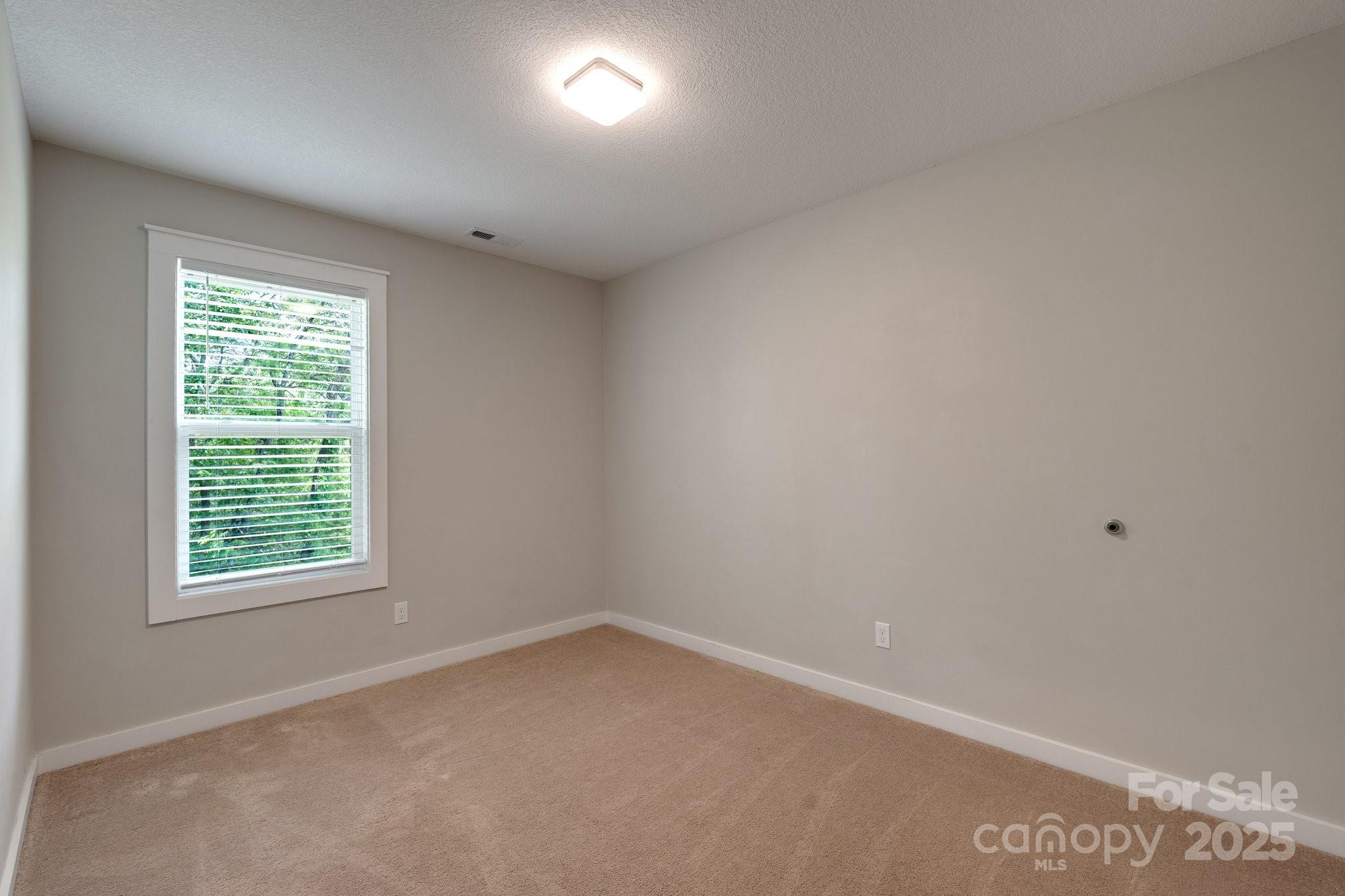 123 Dapple Road Candler NC 28715