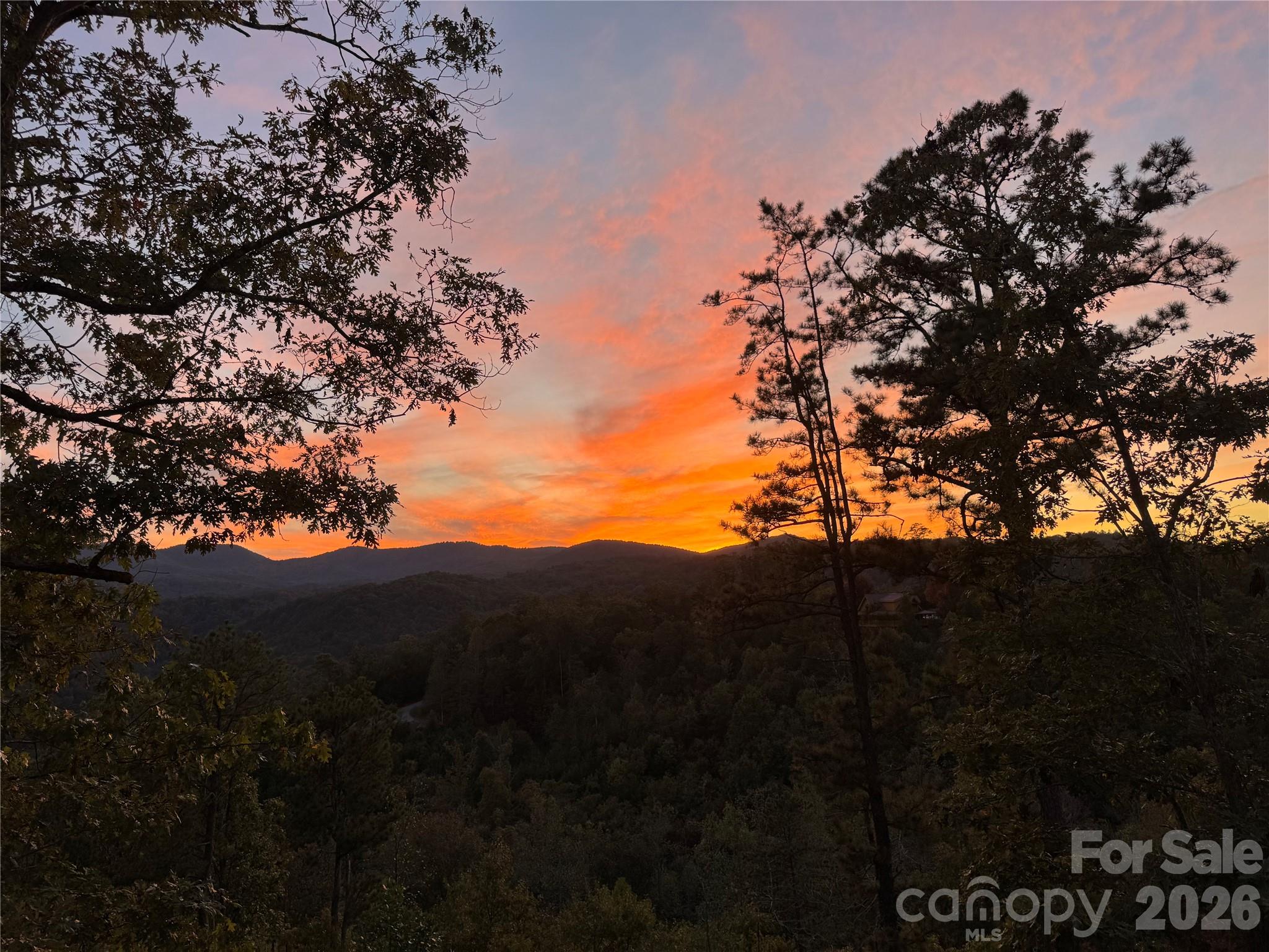 567 Wild River Run Marshall NC 28753