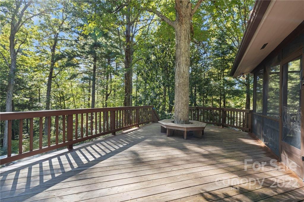 40 Woodbury Road Asheville NC 28804