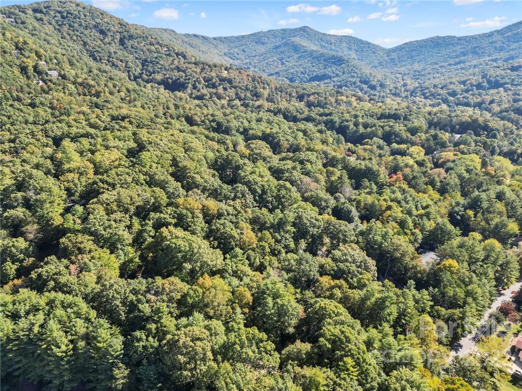 40 Woodbury Road Asheville NC 28804