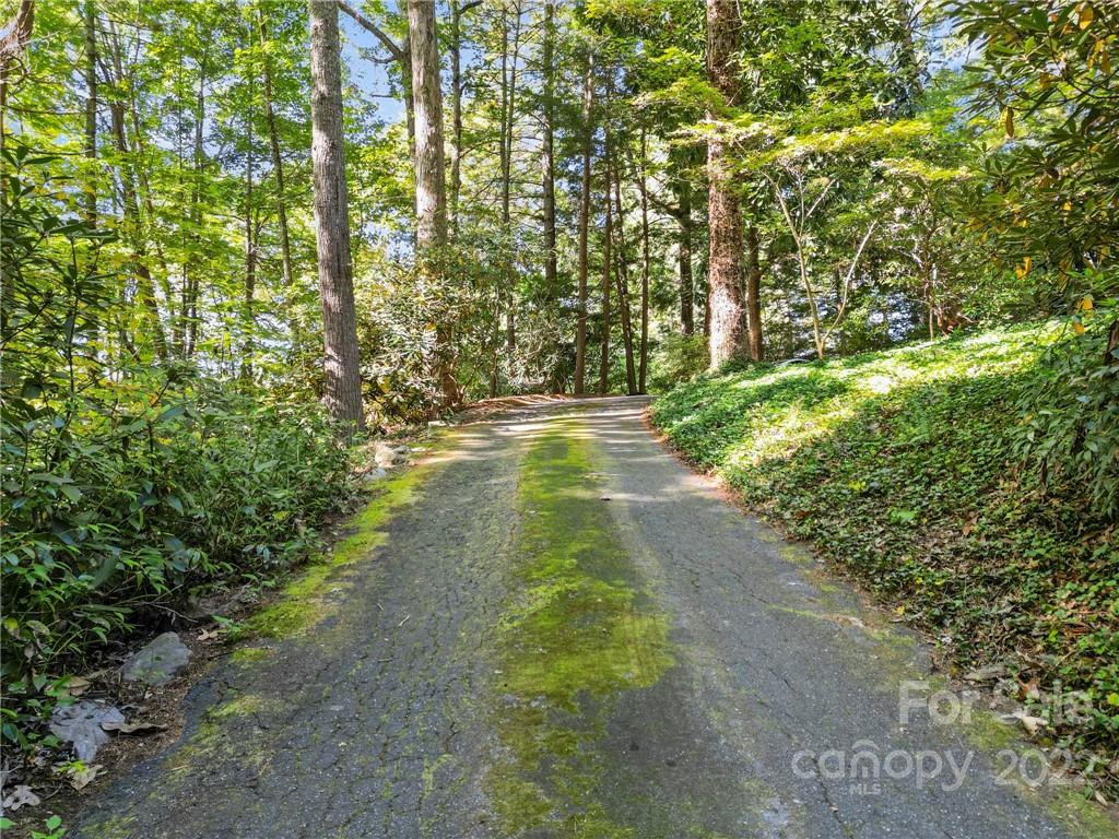 40 Woodbury Road Asheville NC 28804