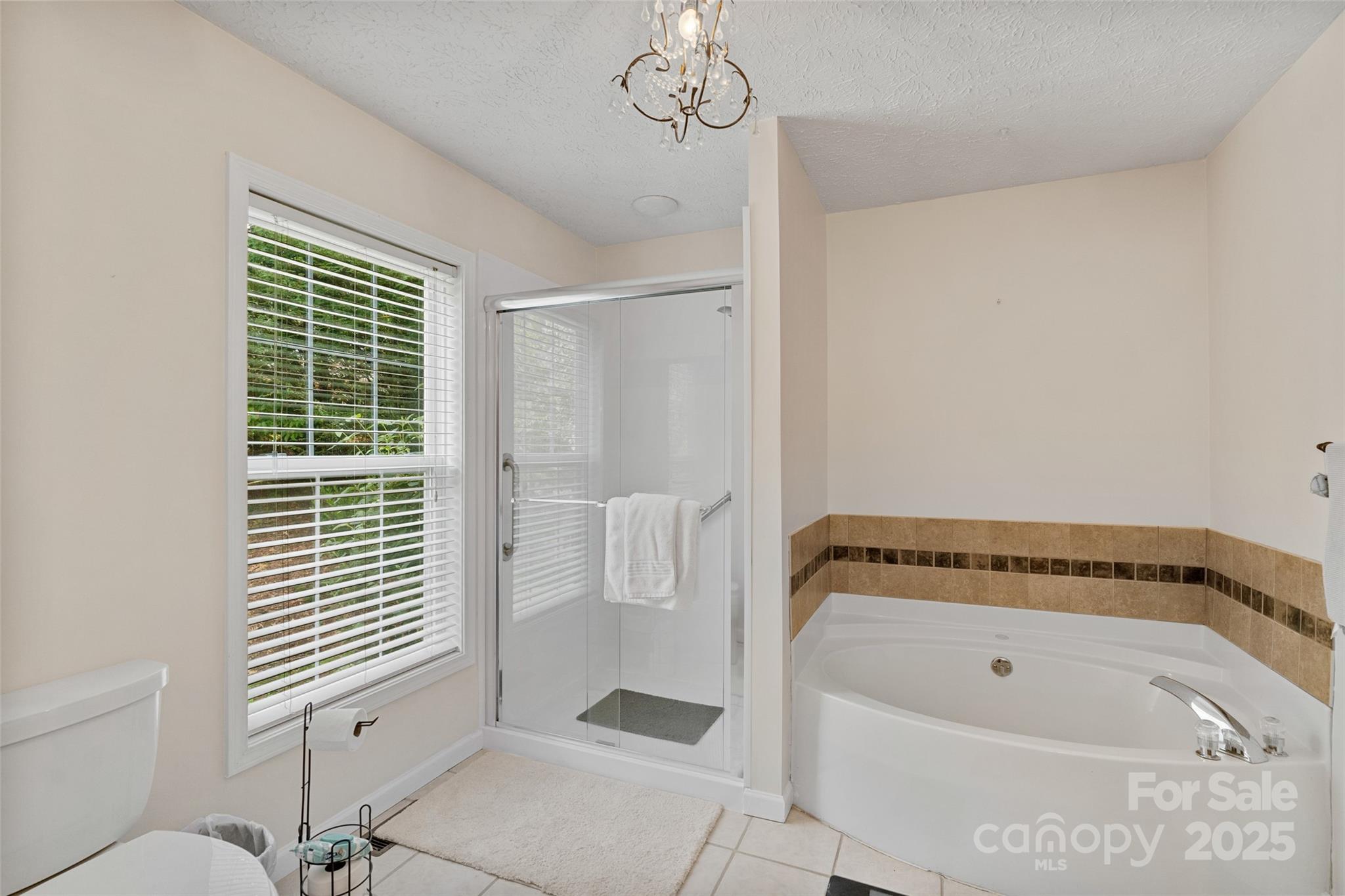 21 Farm Valley Court Weaverville NC 28787