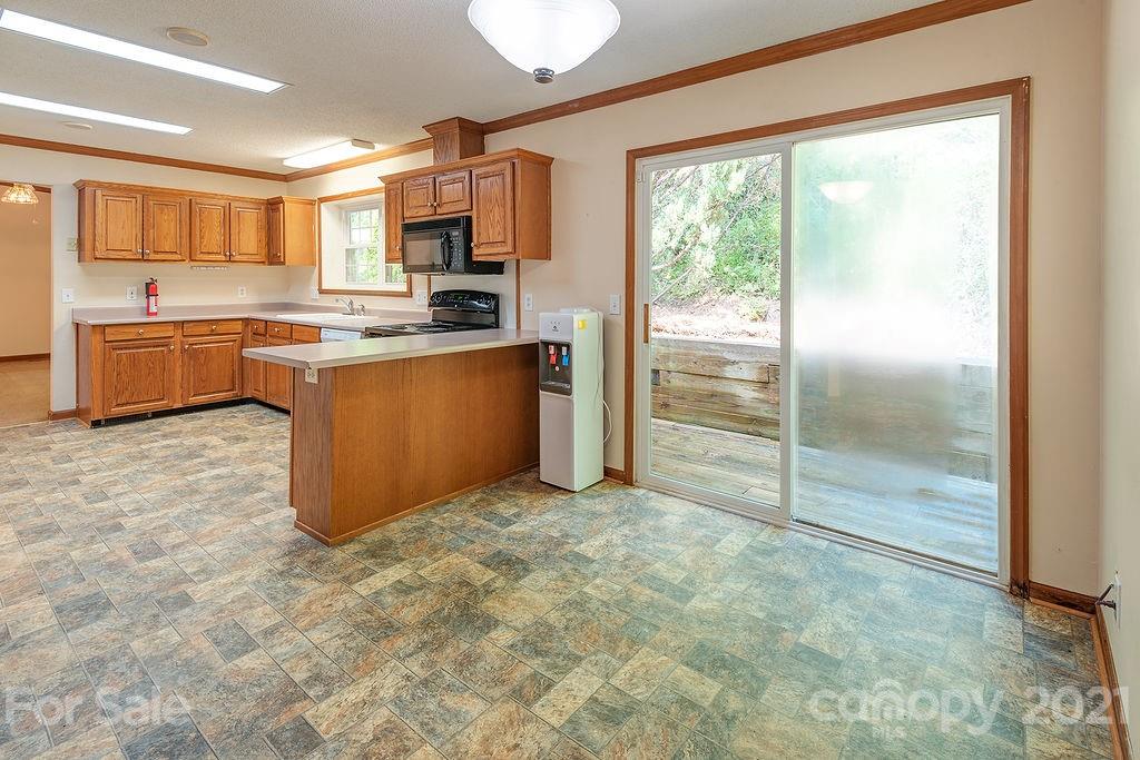 111 Wilderness Trail Candler NC 28715