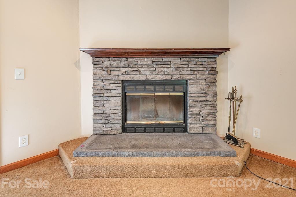 111 Wilderness Trail Candler NC 28715