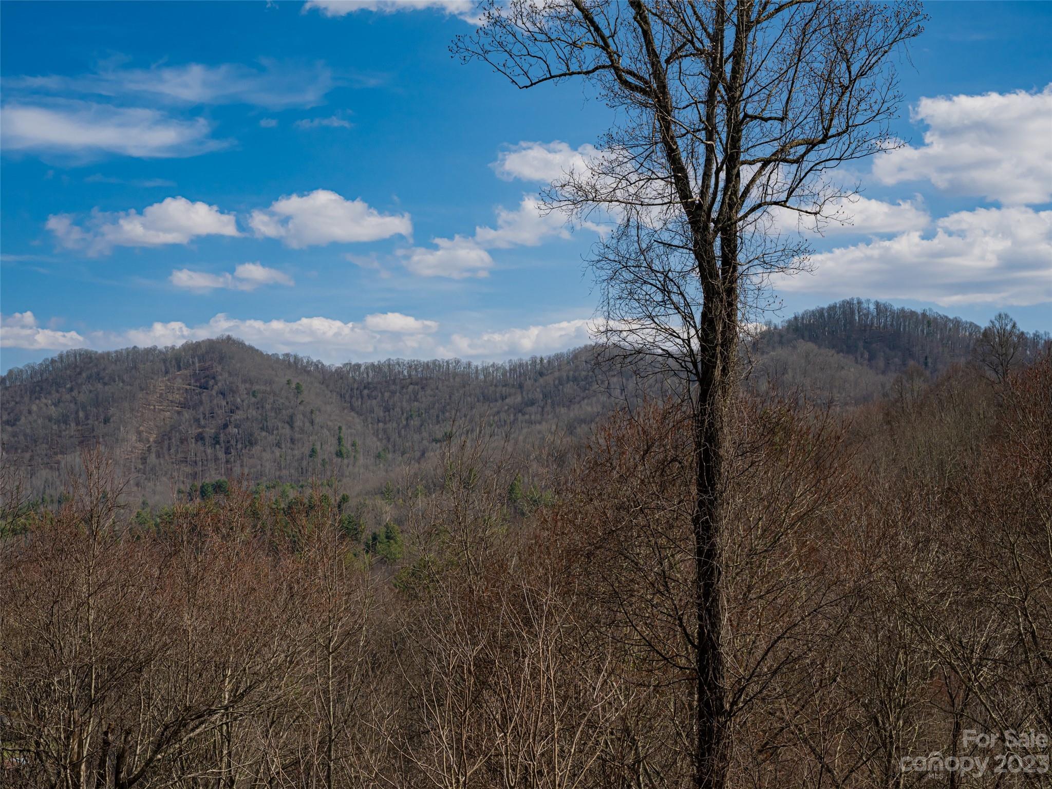 331 Hidden Creek Lane Burnsville NC 28714