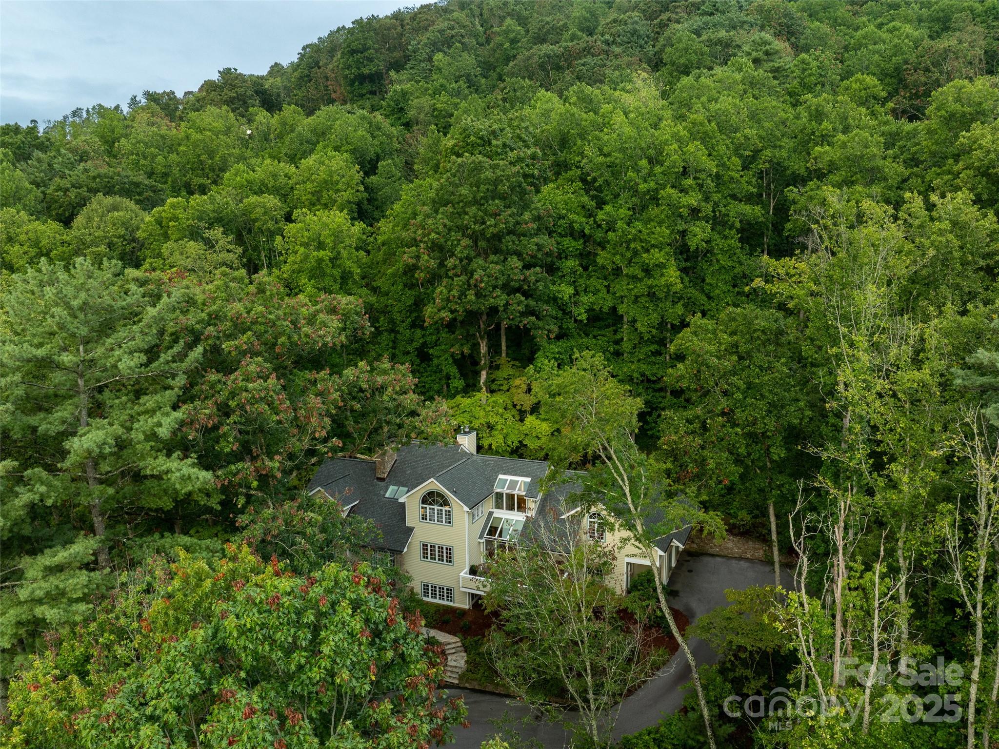 52 Robinhood Road Asheville NC 28804