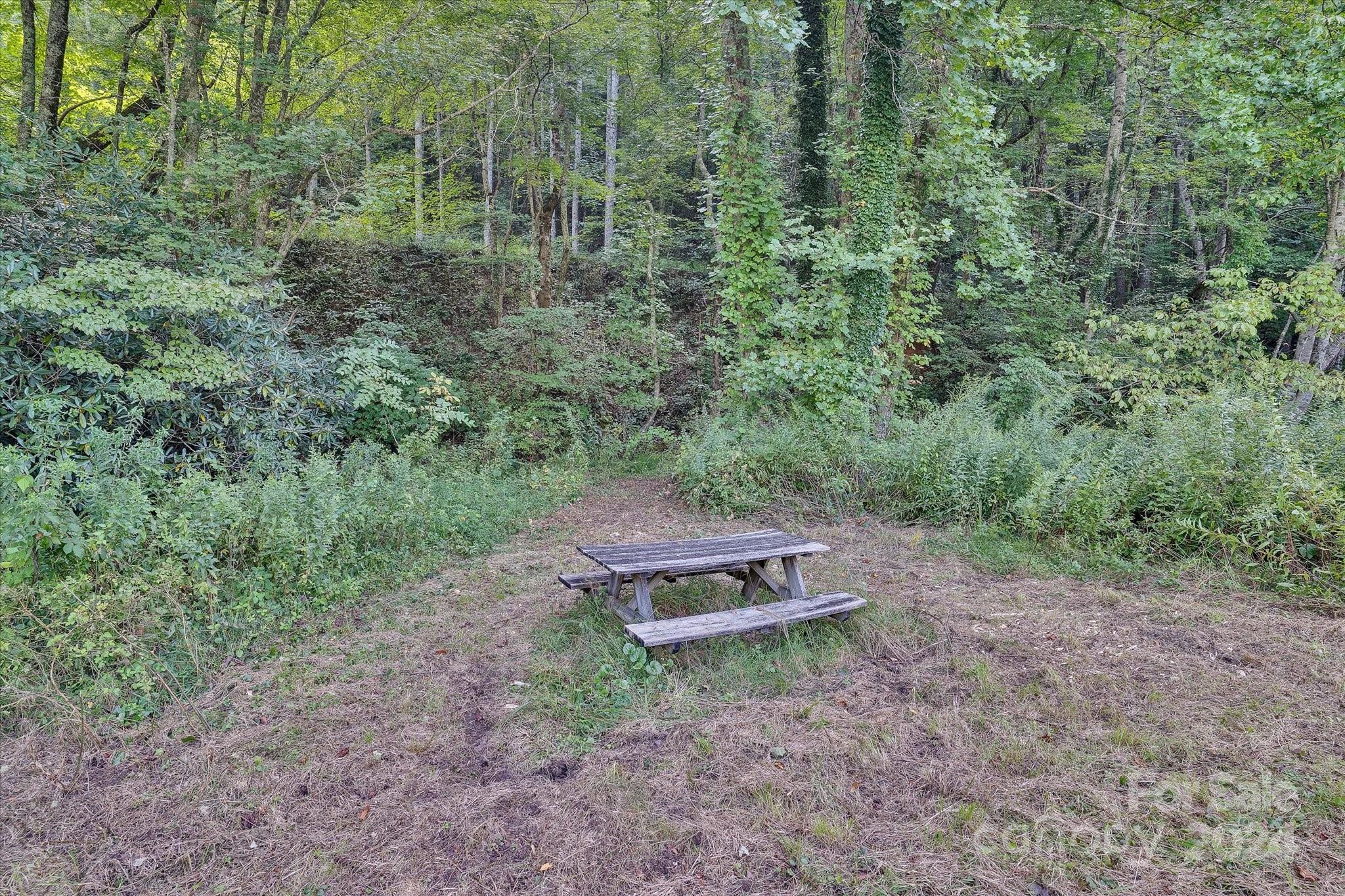 5407 Gerton Highway Gerton NC 28735