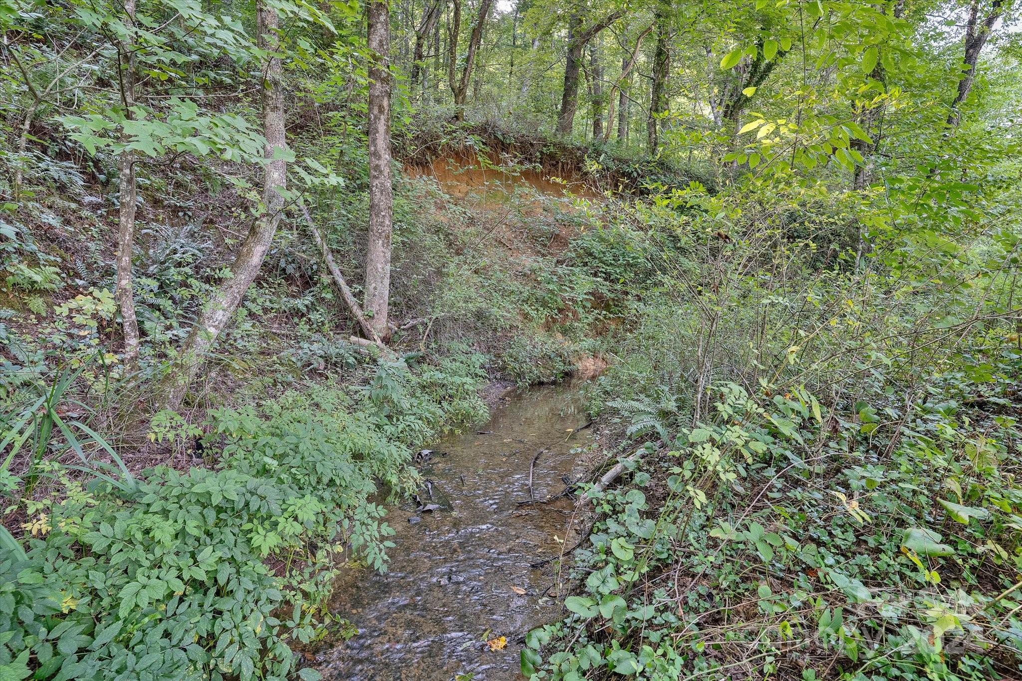 5407 Gerton Highway Gerton NC 28735