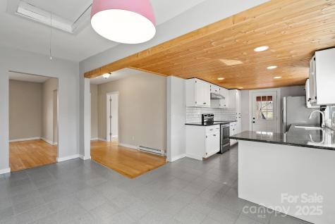 2 Worley Place Asheville NC 28806