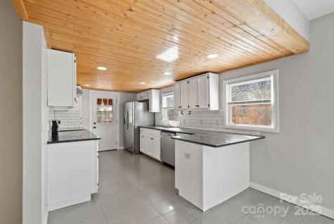 2 Worley Place Asheville NC 28806