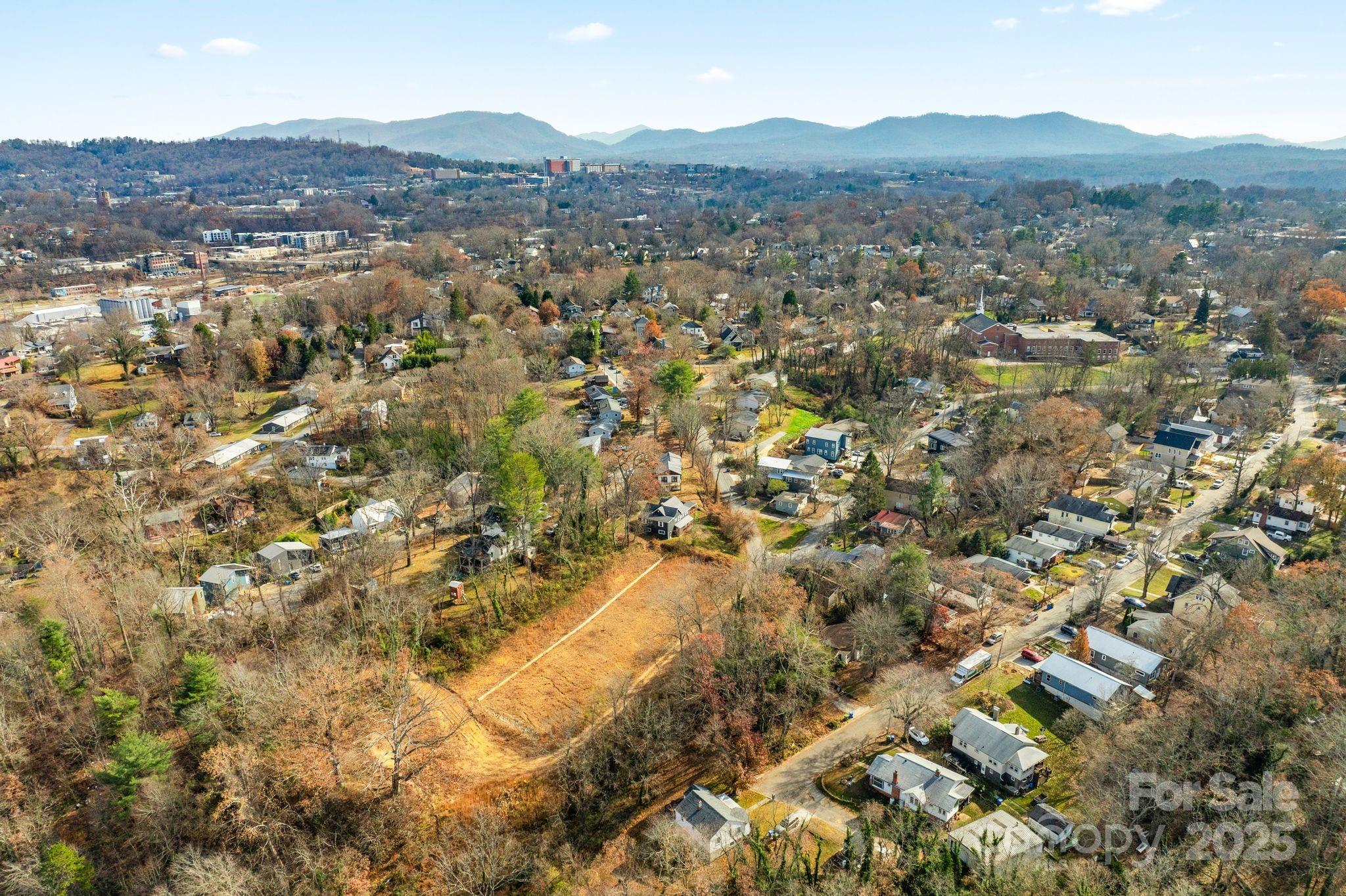 2 Worley Place Asheville NC 28806