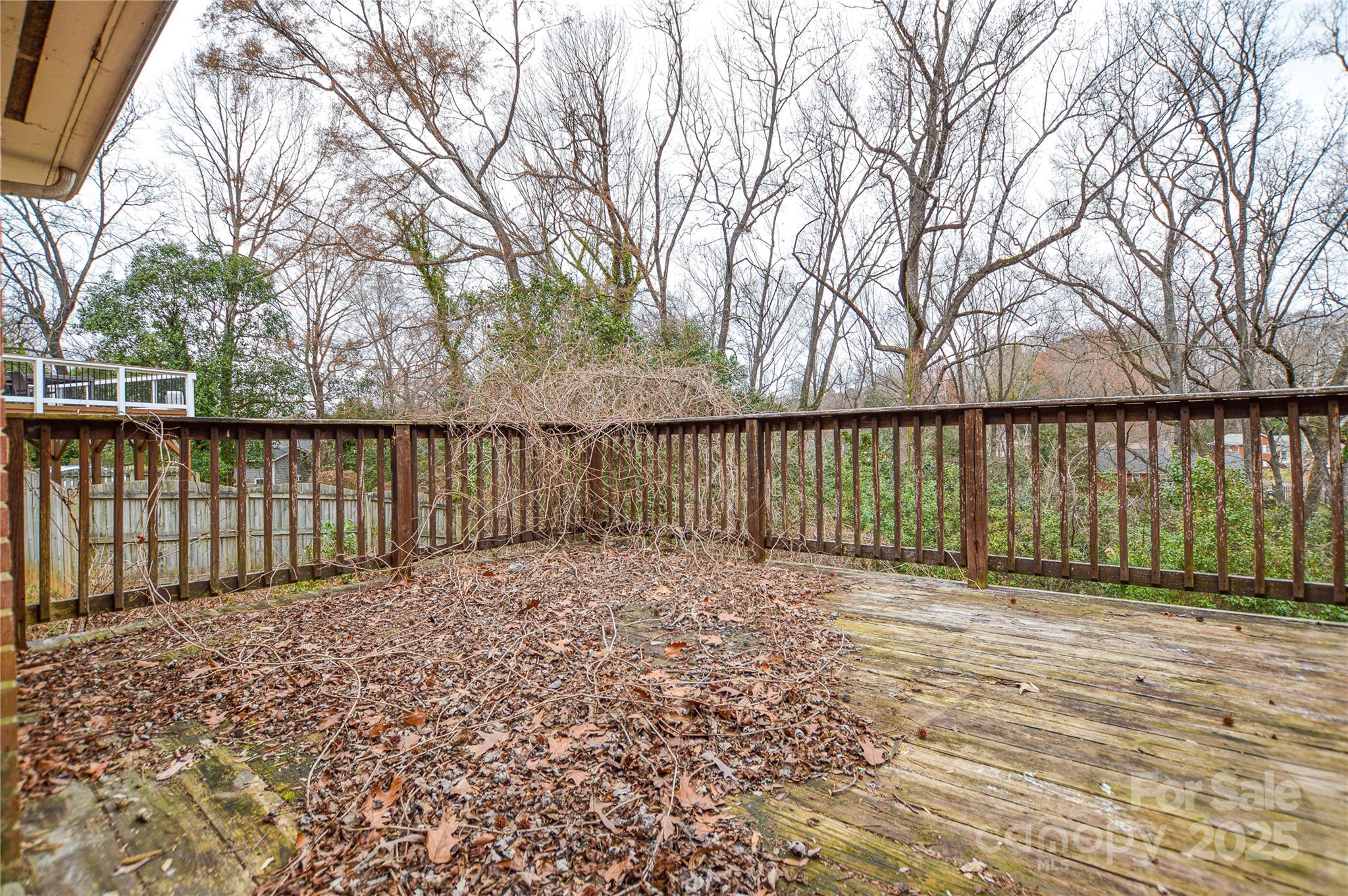 1711 Brookdale Avenue Charlotte NC 28210