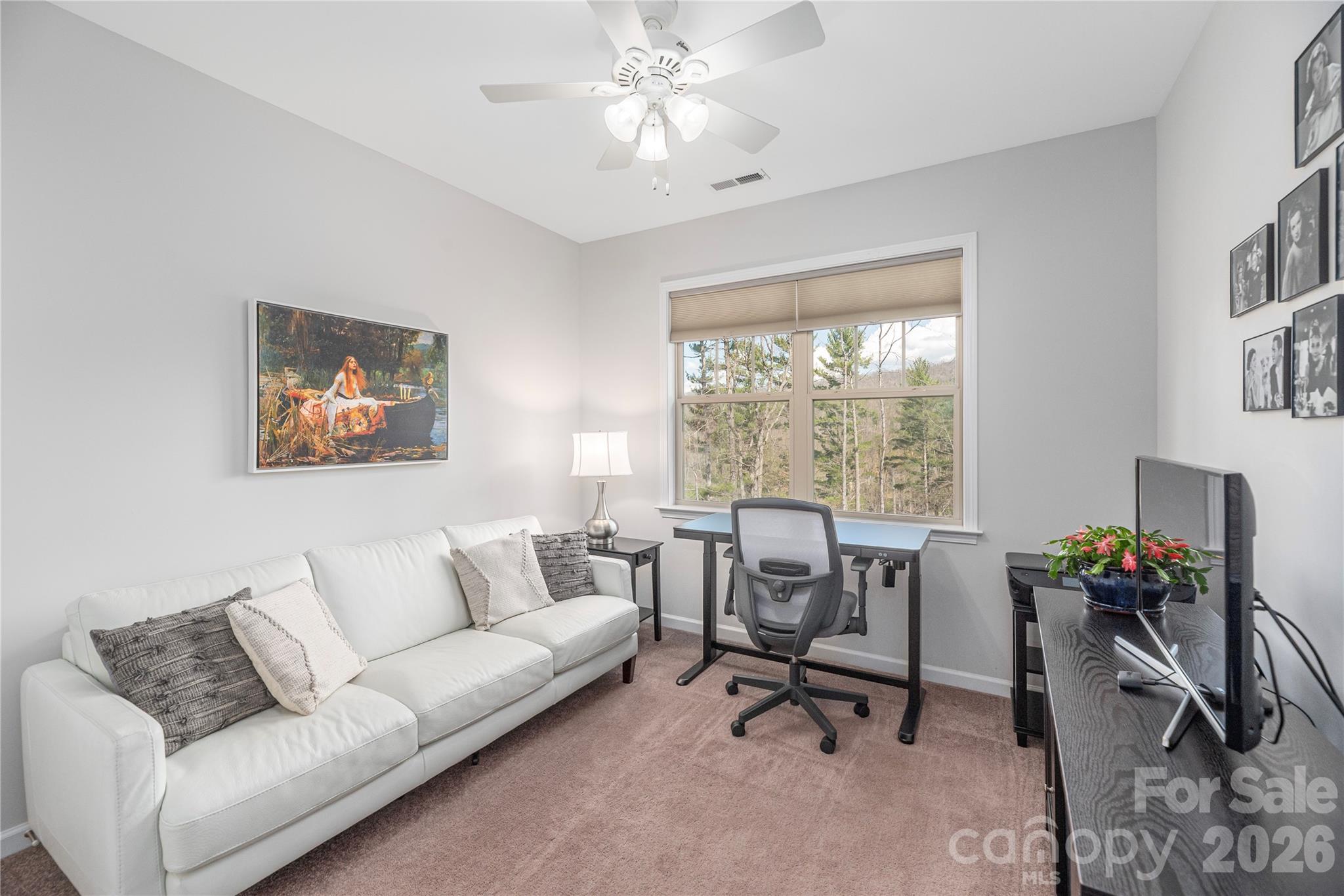 311 Wild Ginger Court Weaverville NC 28787
