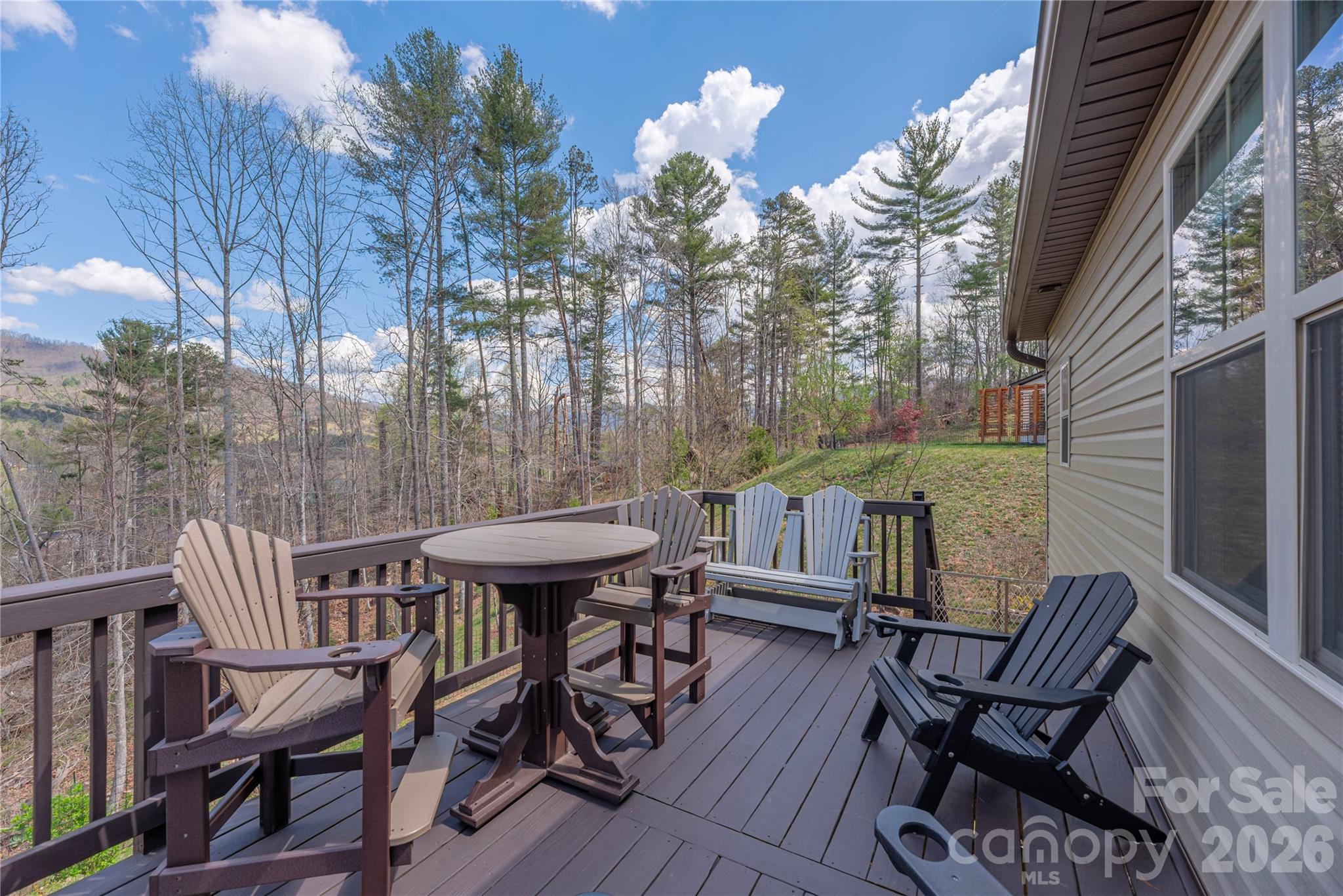 311 Wild Ginger Court Weaverville NC 28787