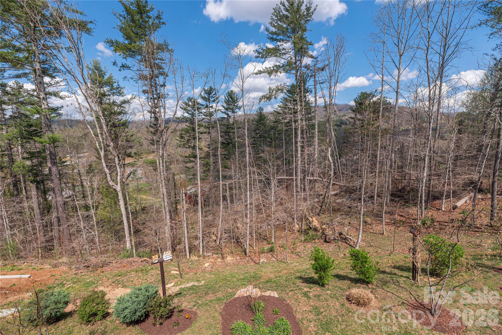 311 Wild Ginger Court Weaverville NC 28787