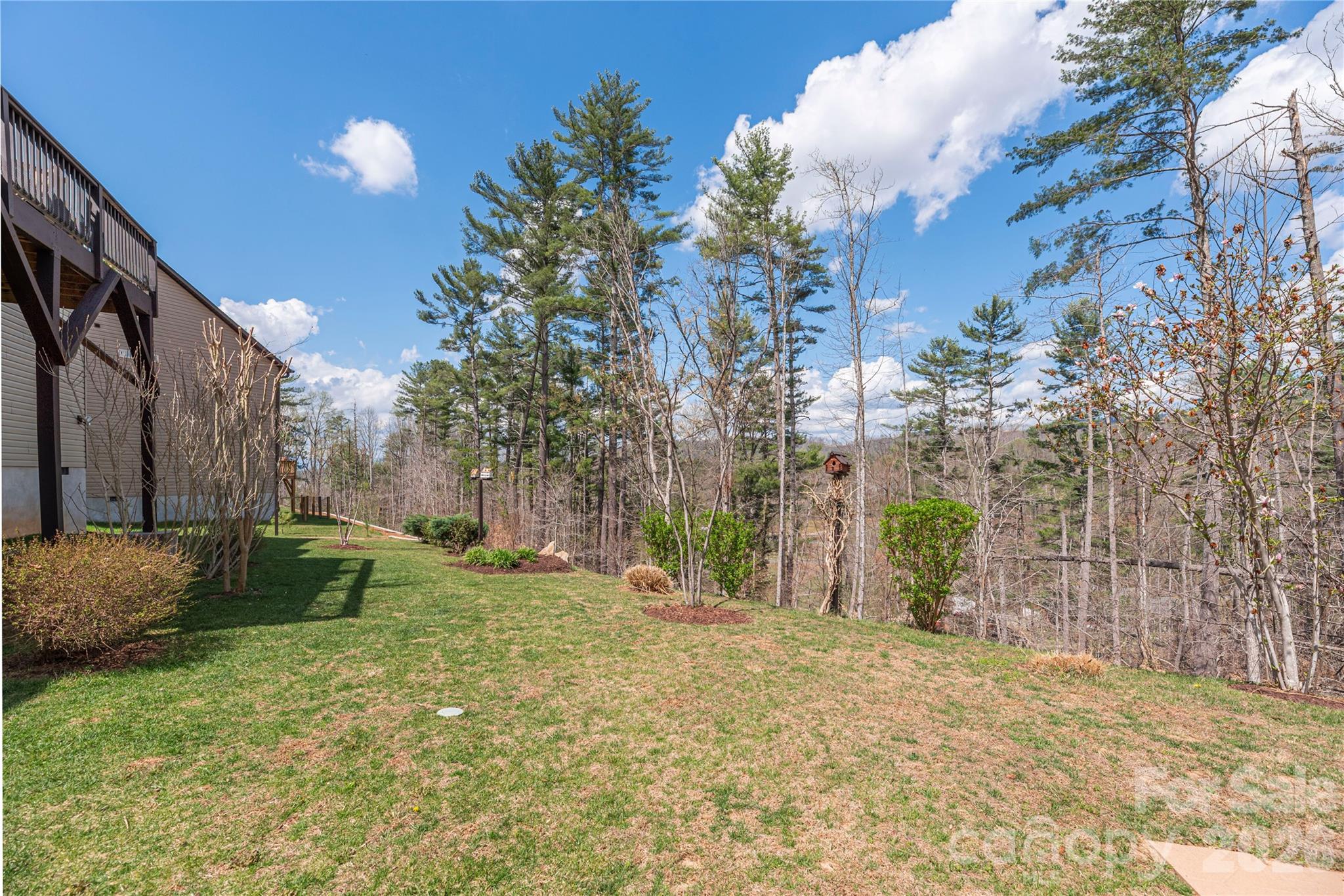 311 Wild Ginger Court Weaverville NC 28787