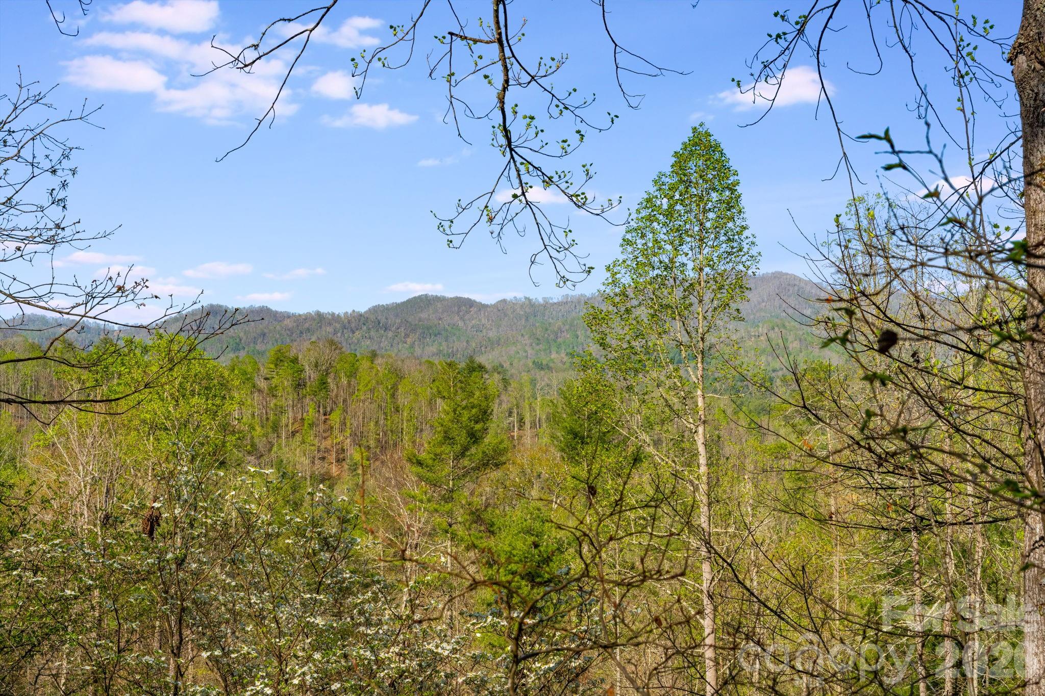 770 Echo Hill Drive Green Mountain NC 28704