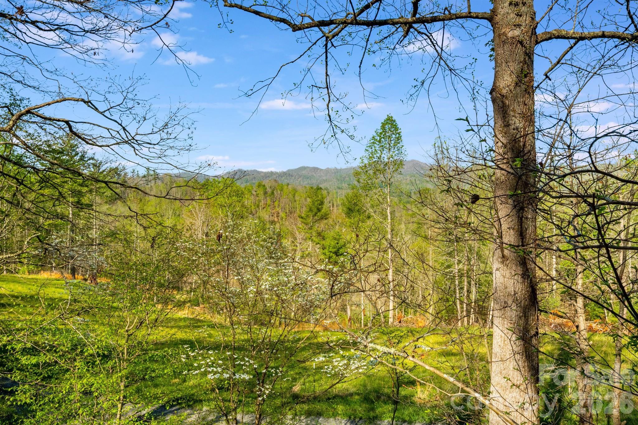 770 Echo Hill Drive Green Mountain NC 28704