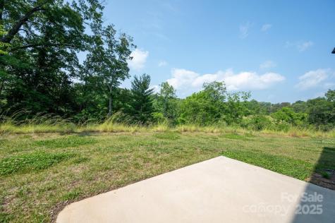 54 Malcolm Court Candler NC 28715