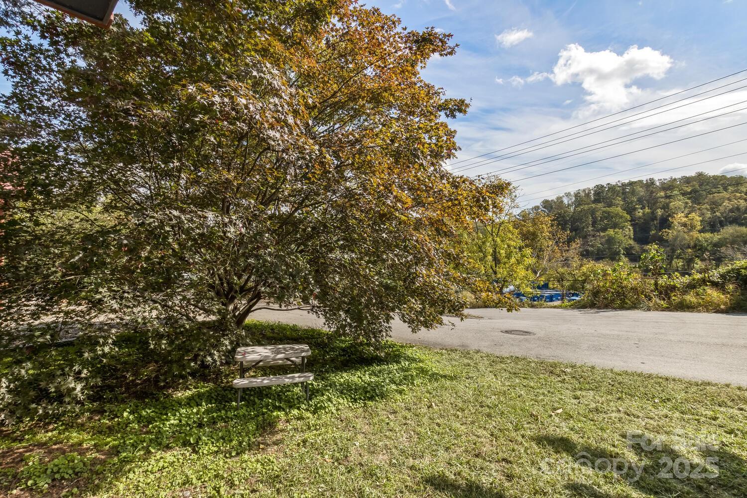 13 Norton Drive Asheville NC 28804