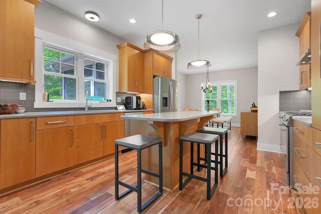 131 Bear Trace Road Brevard NC 28712