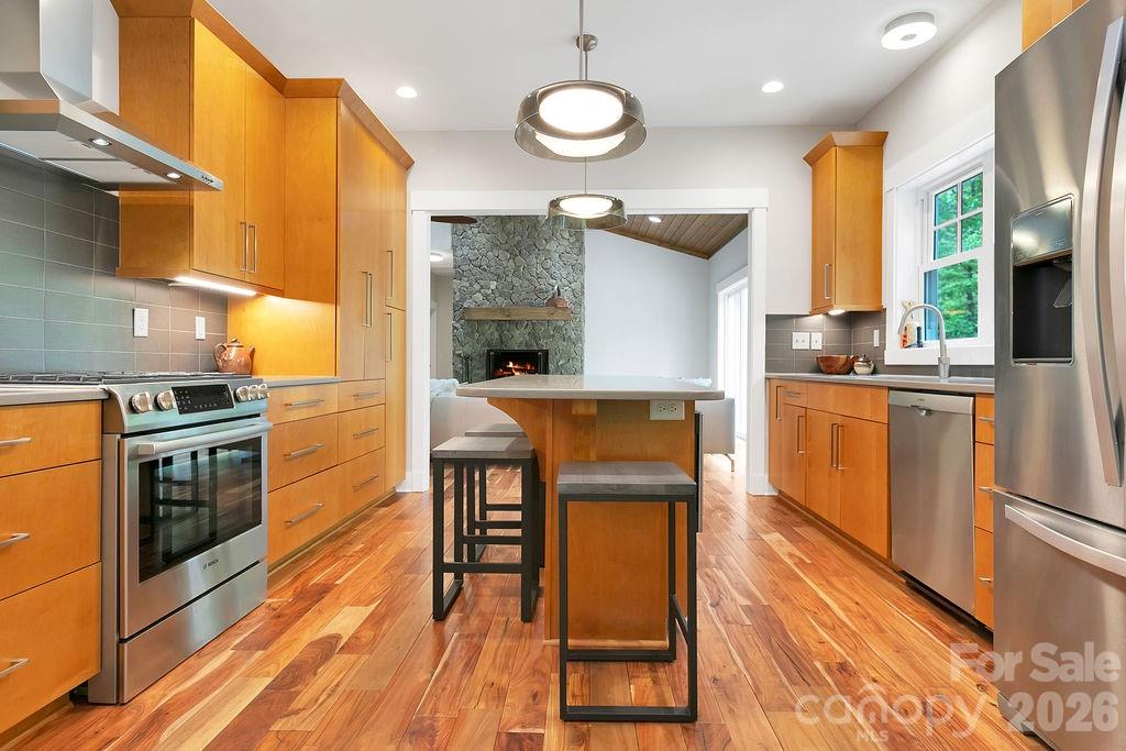 131 Bear Trace Road Brevard NC 28712