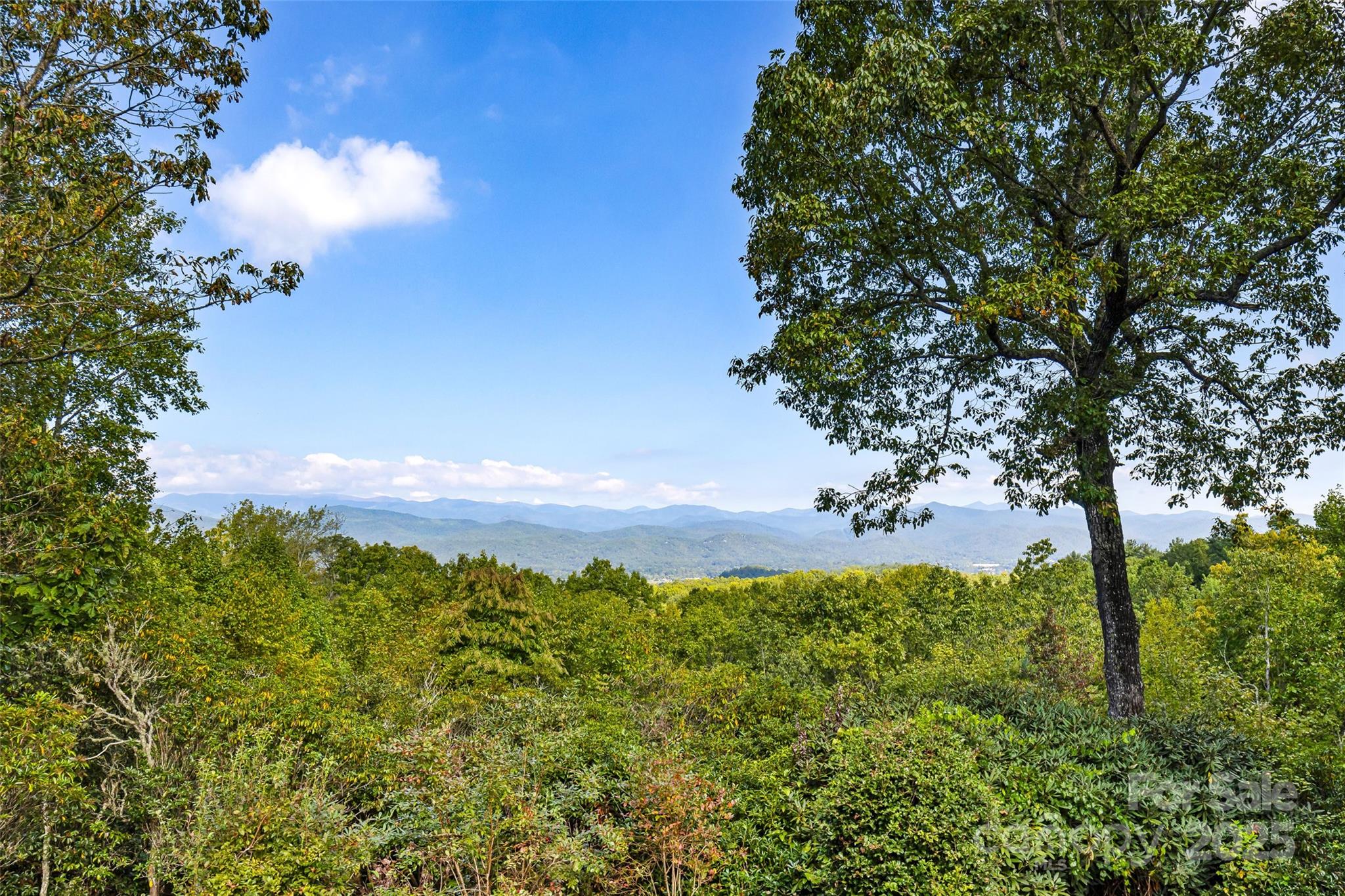 228 Double Falls Road Pisgah Forest NC 28768