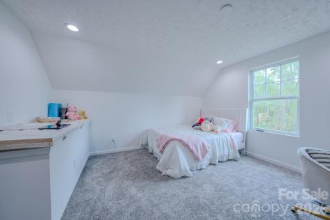27 Garland Ball Drive Alexander NC 28701