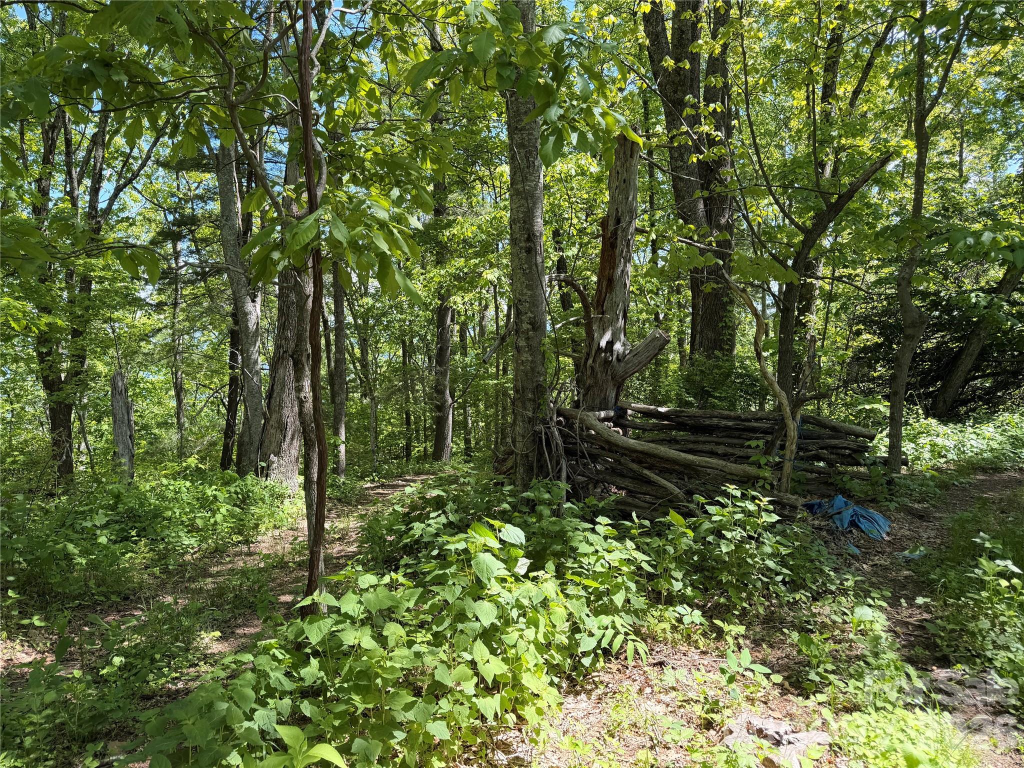 24 Smokey Road Asheville NC 28803