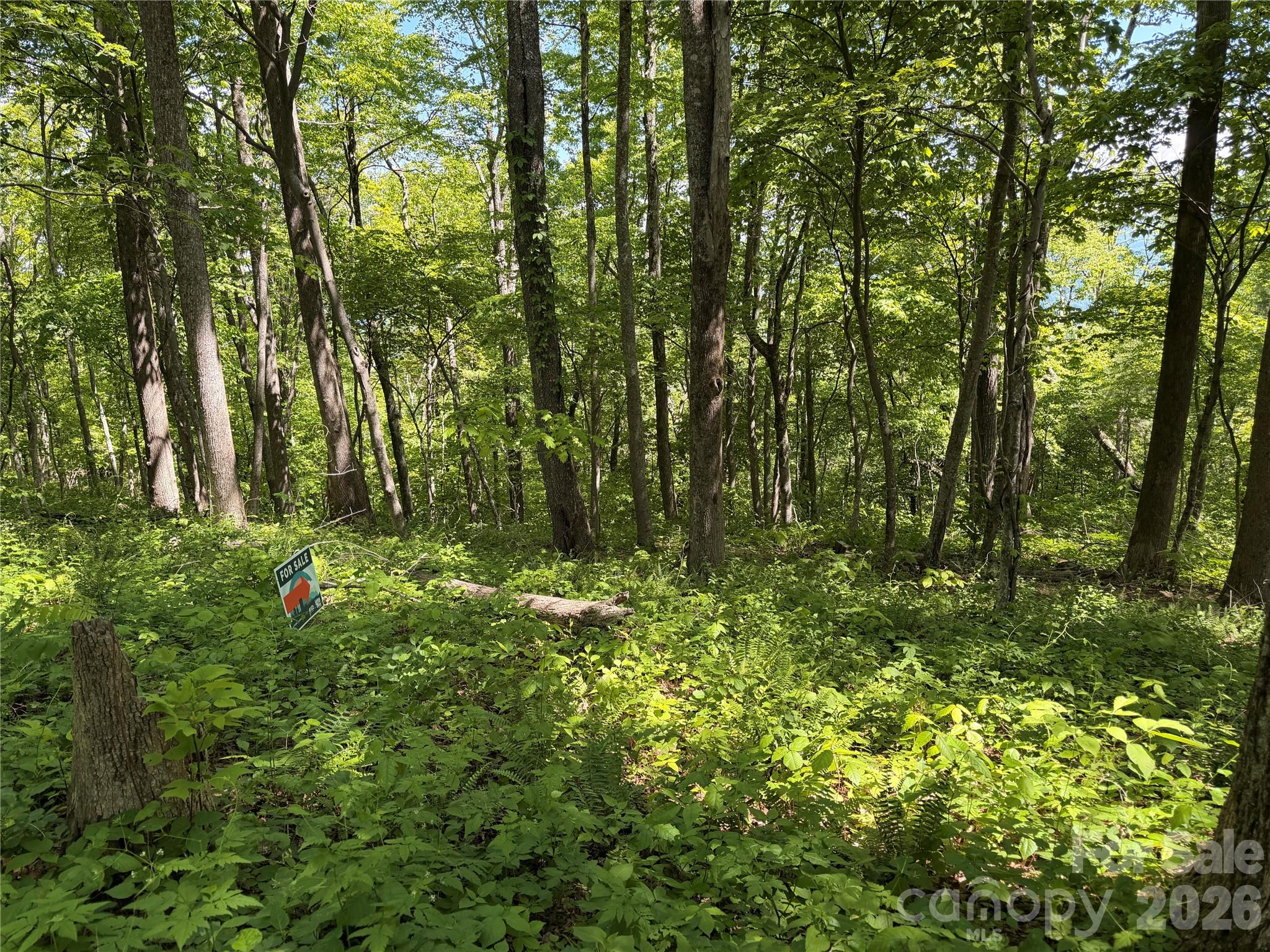 24 Smokey Road Asheville NC 28803