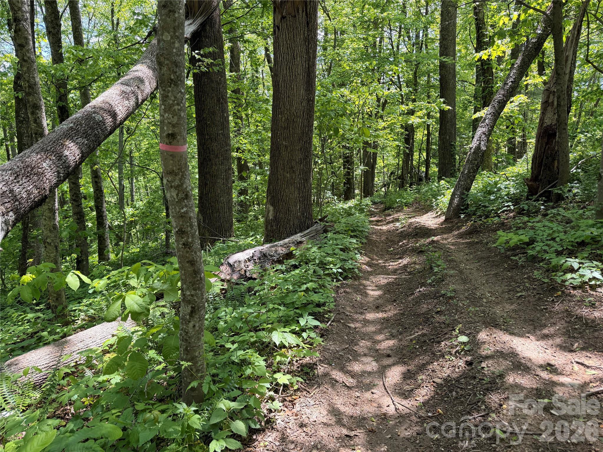 24 Smokey Road Asheville NC 28803