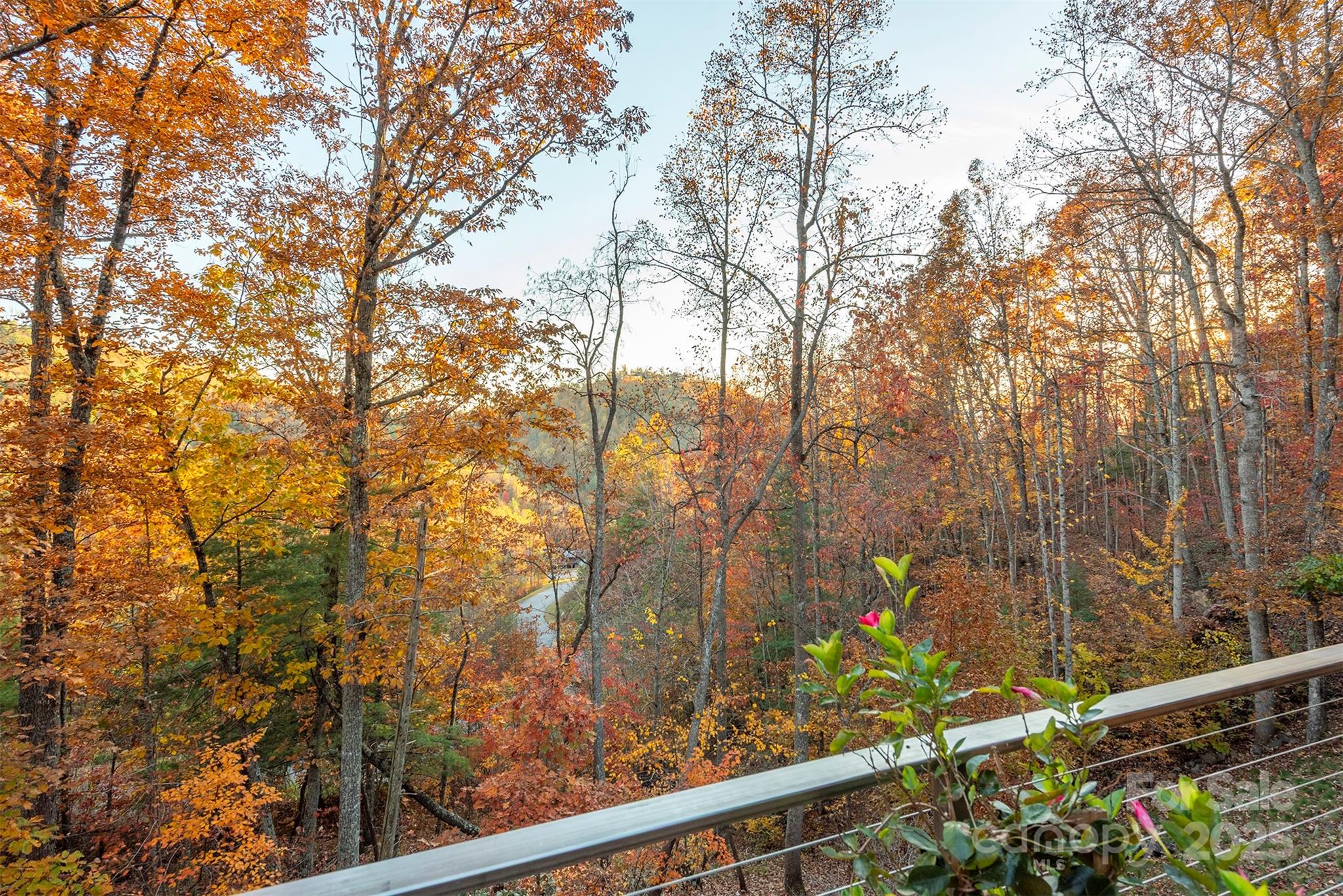 34 Finch Drive Asheville NC 28804