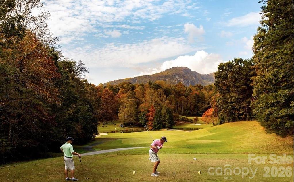 231 Blue Bird Road Lake Lure NC 28746