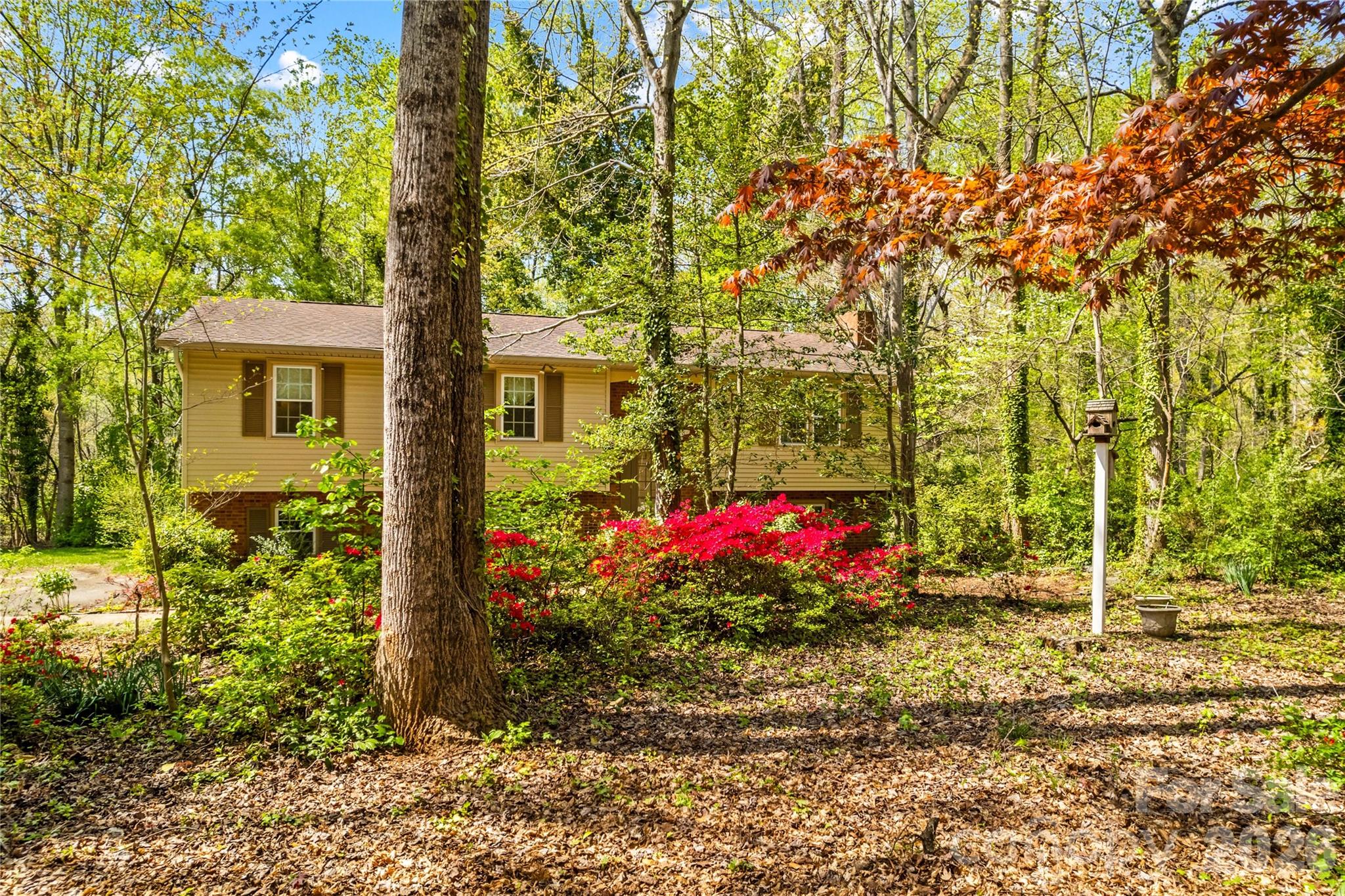 4325 Rosebriar Lane Winston Salem NC 27106