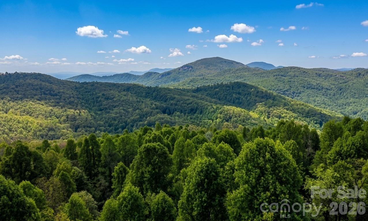 140 Elijah Hall Road Black Mountain NC 28711