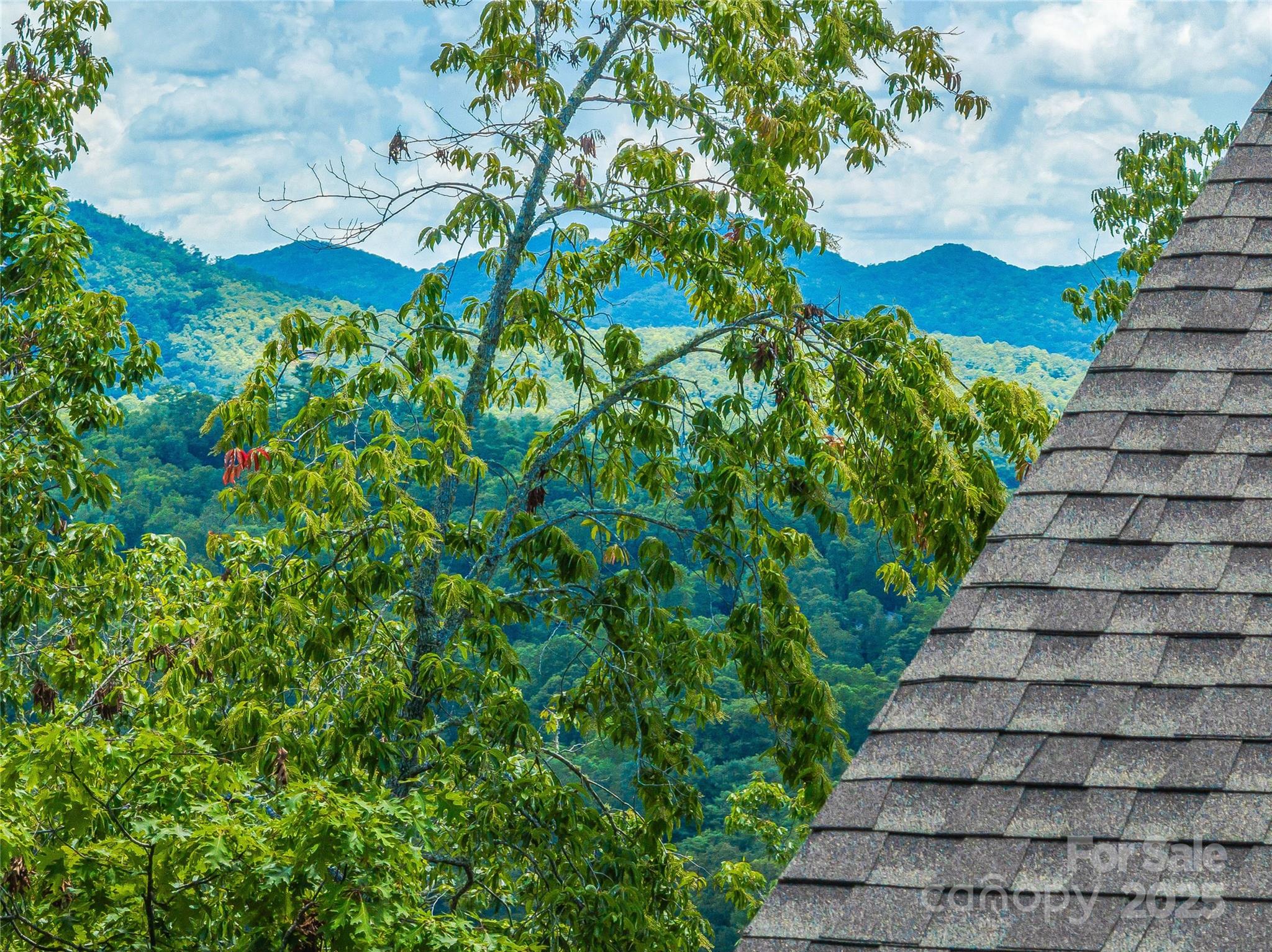 228 Allen Mountain Drive Black Mountain NC 28711