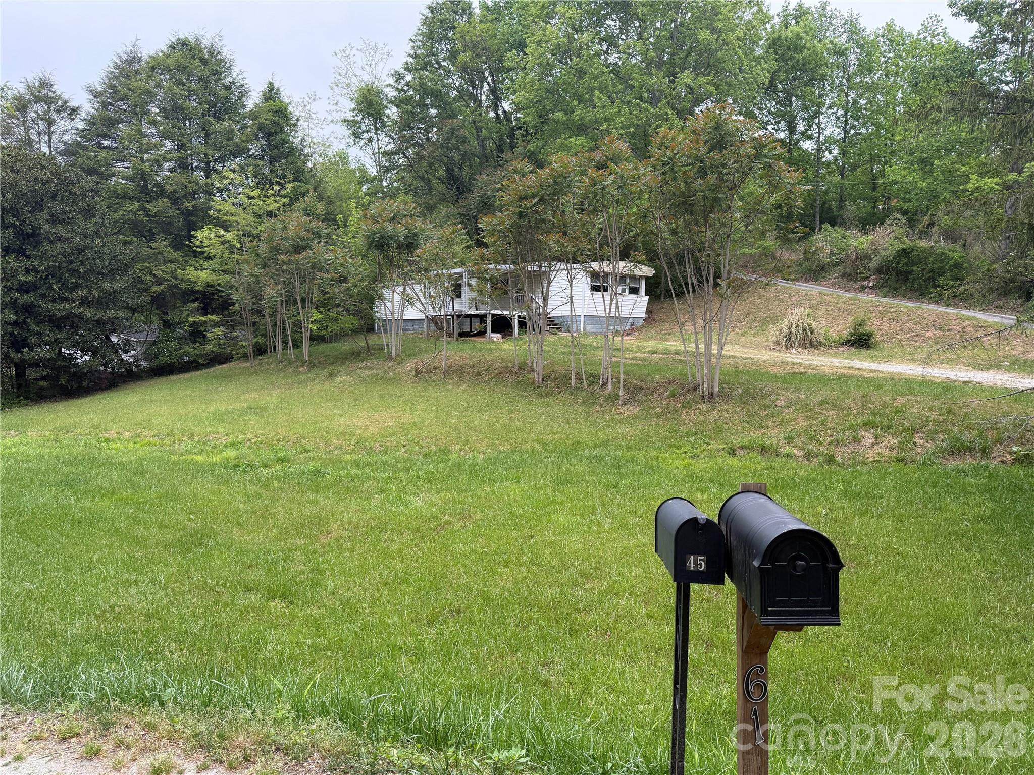 45 Overbrook Drive Saluda NC 28773