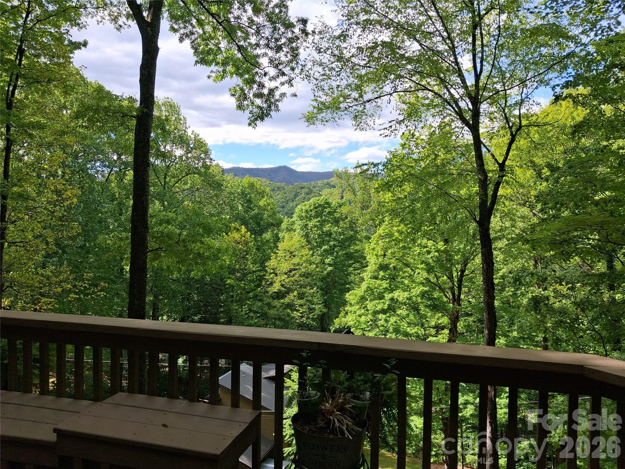 46 Hummingbird Drive Maggie Valley NC 28751