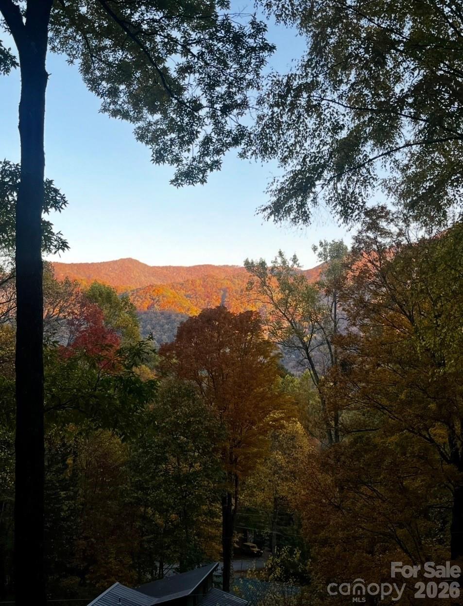 46 Hummingbird Drive Maggie Valley NC 28751
