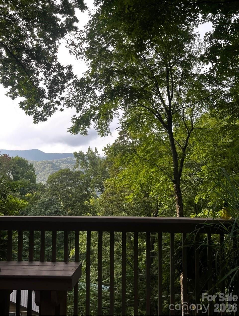 46 Hummingbird Drive Maggie Valley NC 28751