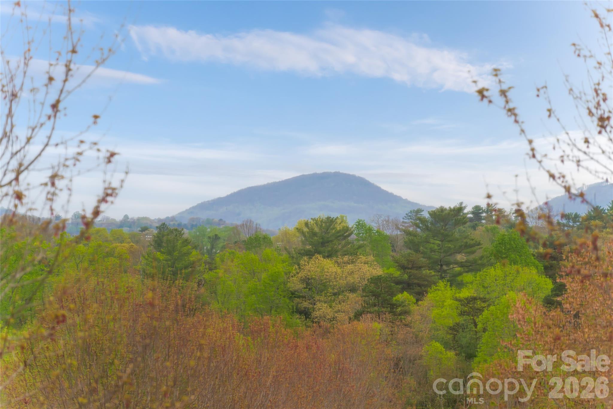 16 Dearborn Street Asheville NC 28803