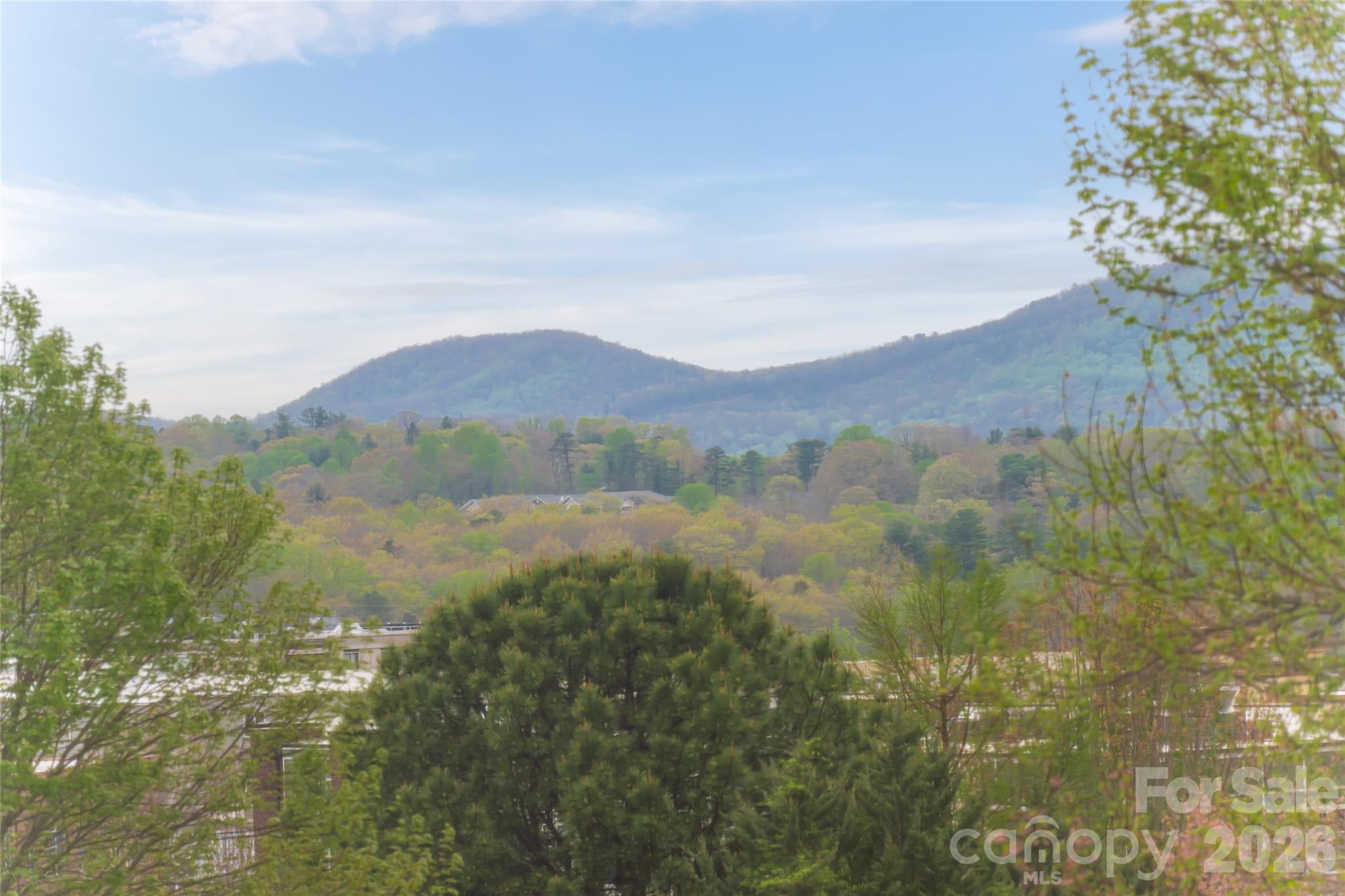 16 Dearborn Street Asheville NC 28803
